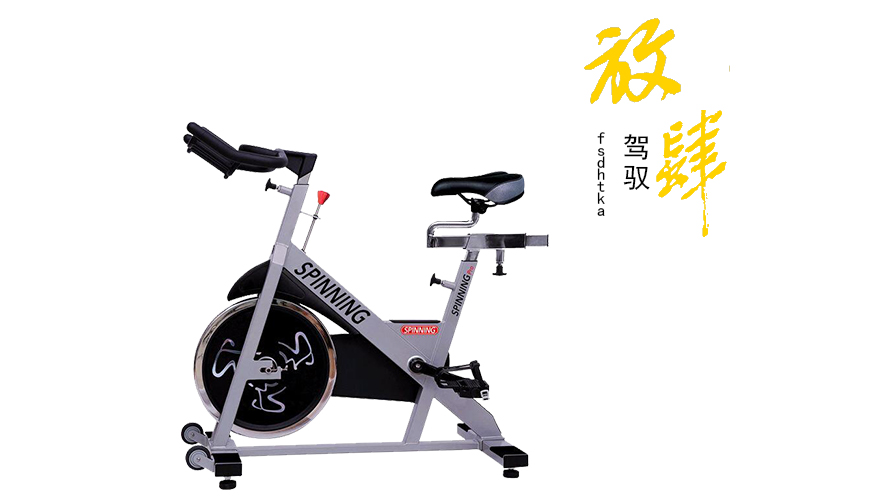 P166動(dòng)感單車(chē)-2-2.jpg